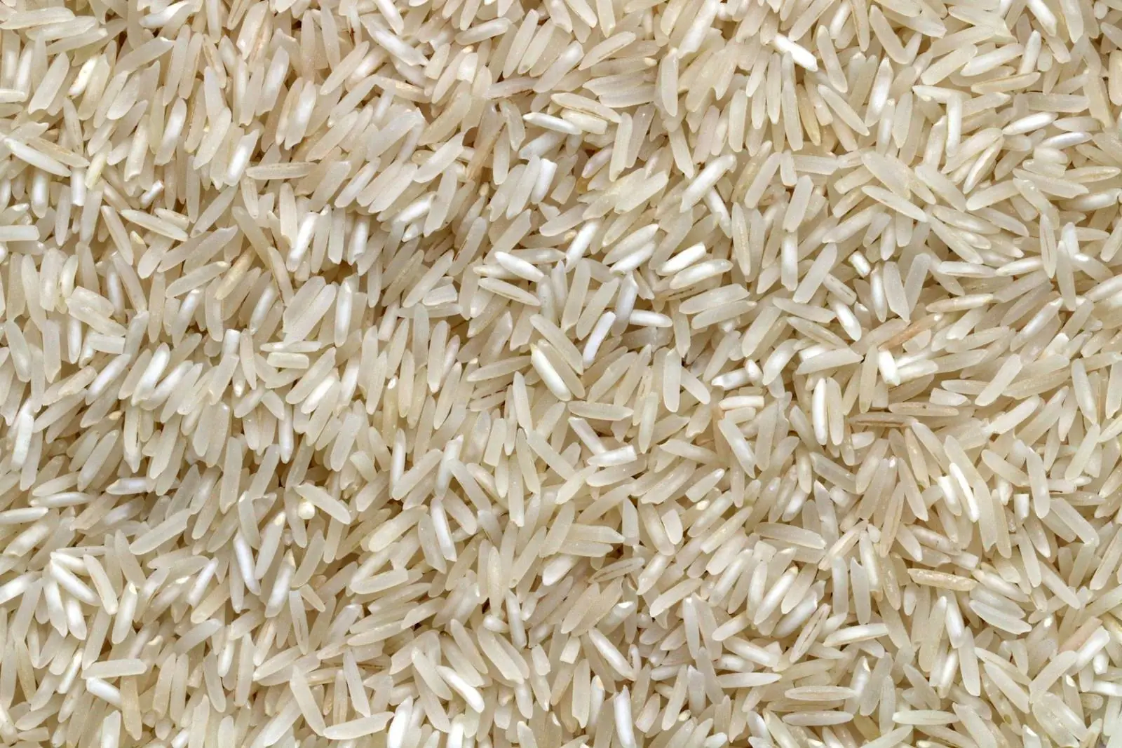 Nourrir un camp minier : les contrats alimentaires en vrac expliqués